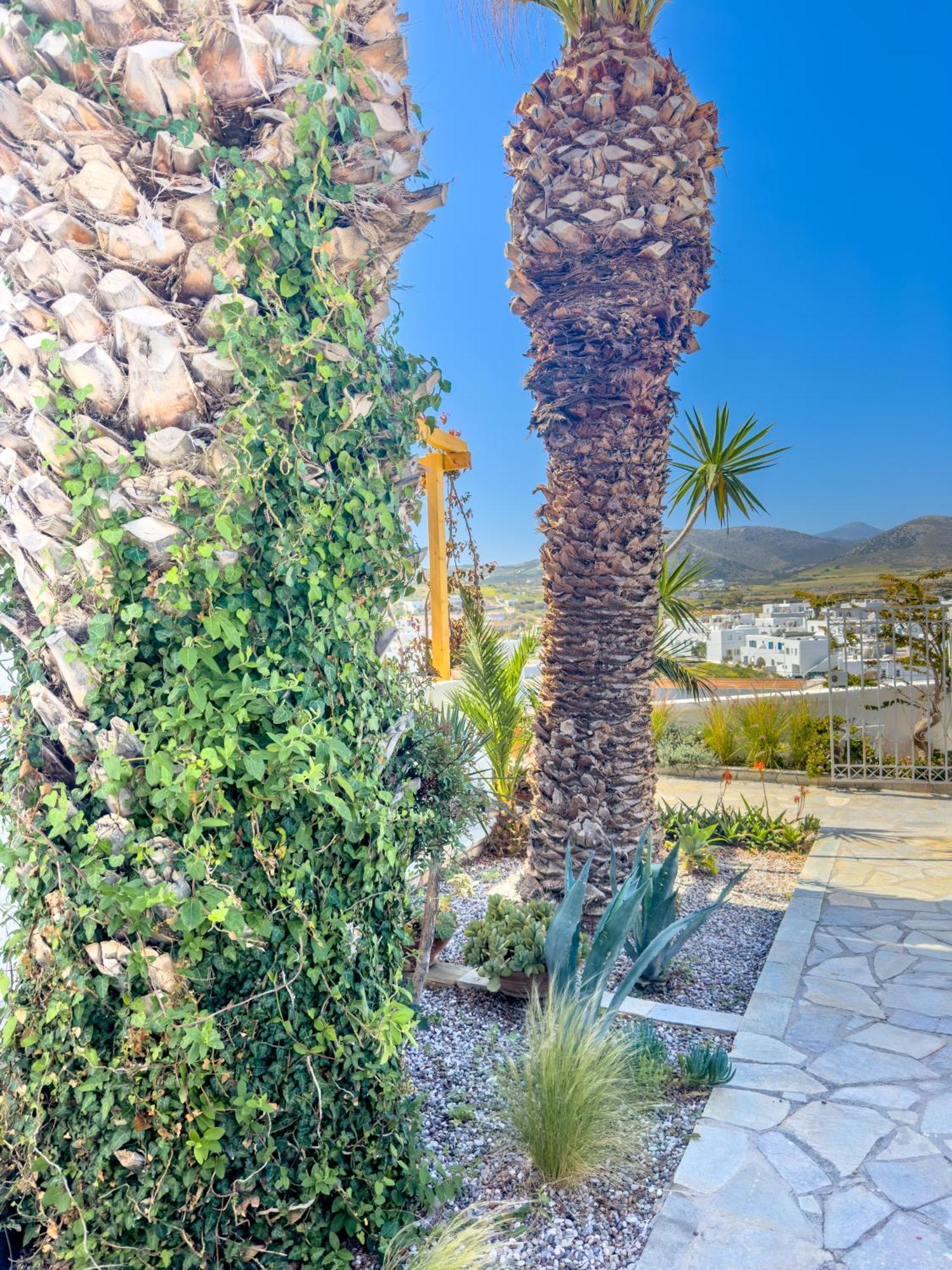 Kefalas Studio In Naousa Exteriör bild